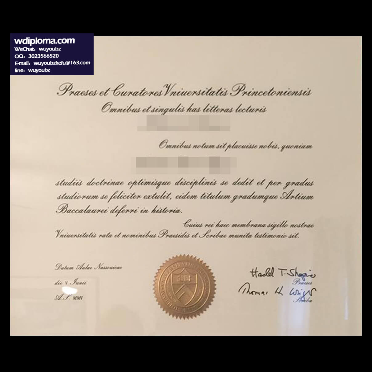 Princeton University diploma